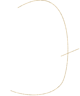 店内は虎まみれ。でも、〇〇ファンではないよ。